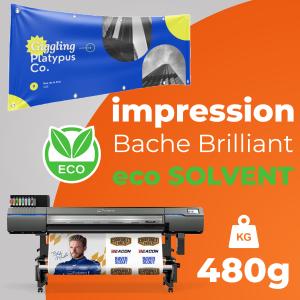 IMP Bache ECO